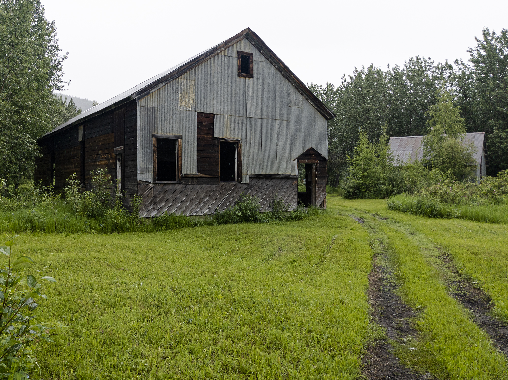 The AC Co. store and warehouse in the Forty Mile townsite in Yukon, pictured on June 21, 2020. (Steve Silva)