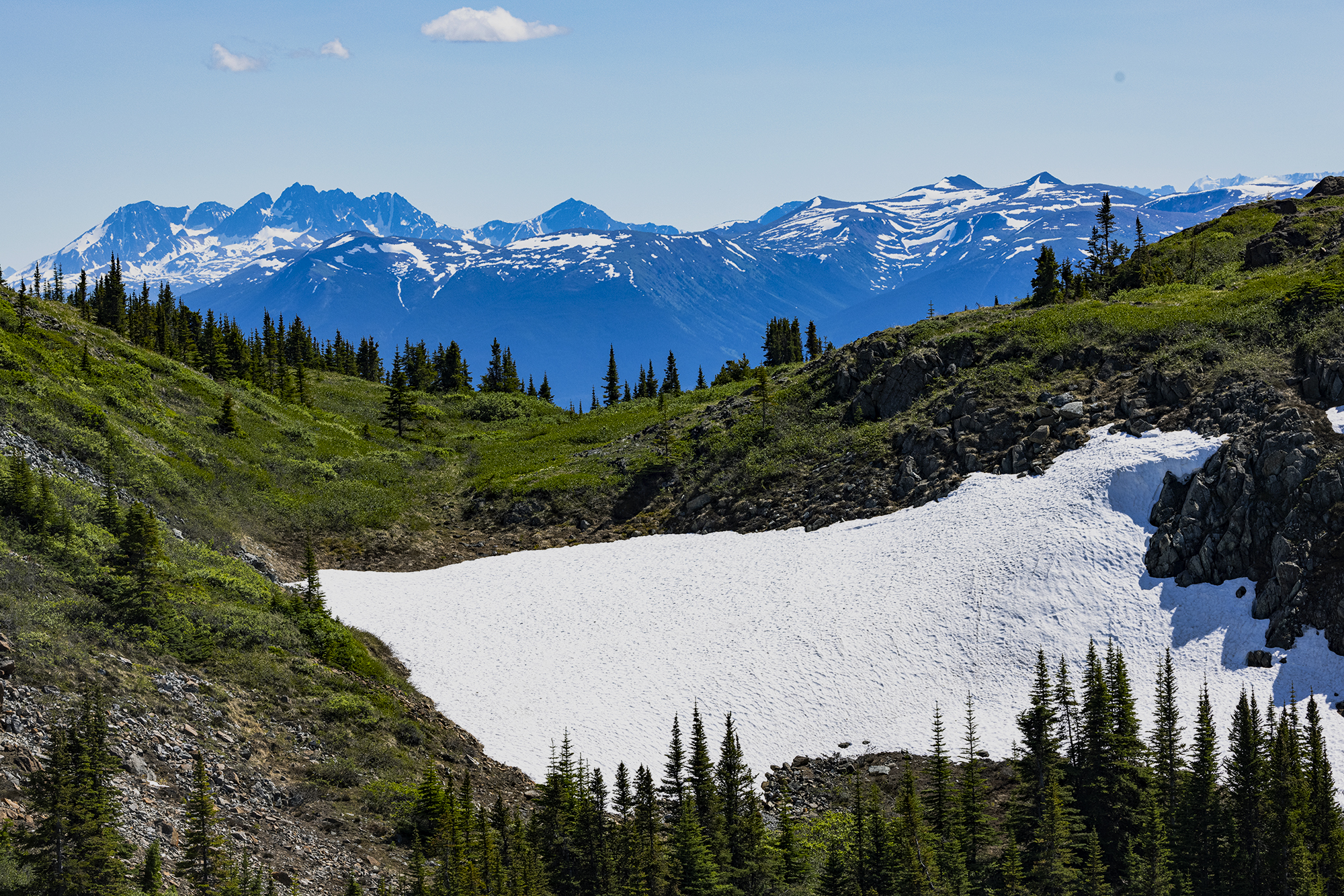 A view from Monarch Mountain Trail, near Atlin, B.C., pictured on July 3, 2021. (Steve Silva)