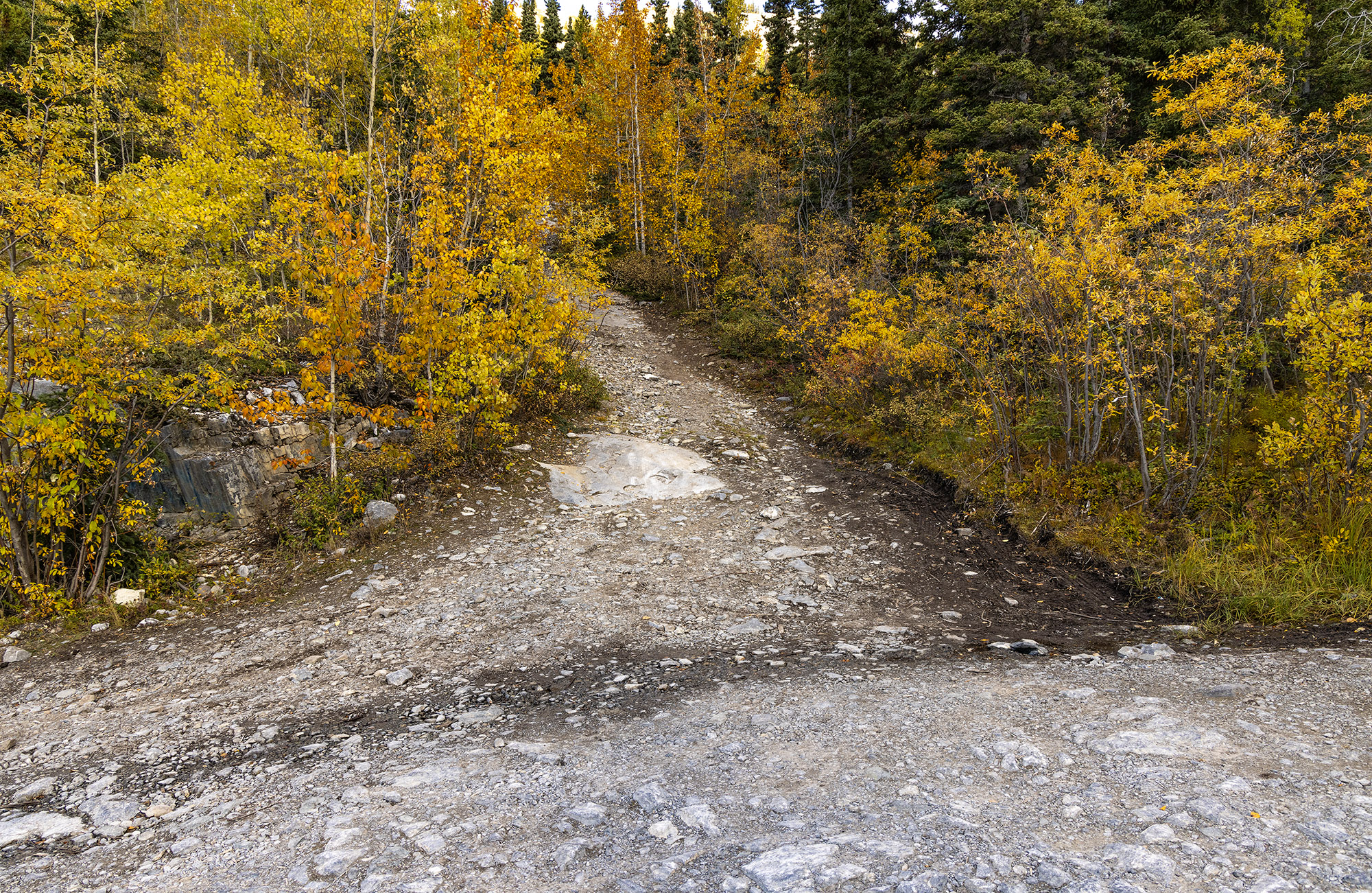 The start of a trail to get to Grey Mountain Cave in Whitehorse, Yukon, pictured on Sept. 19, 2021. (Steve Silva)